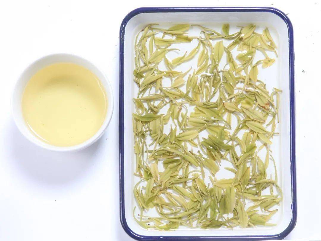 产品叶底,汤色建德苞茶该品种是一个综合性状优良的白化特异品种,具有
