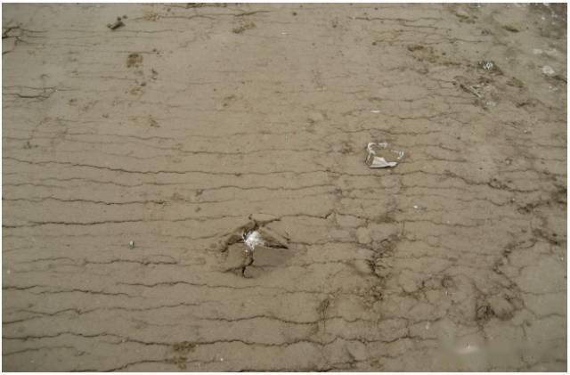 浸蚀 来自搜狐网