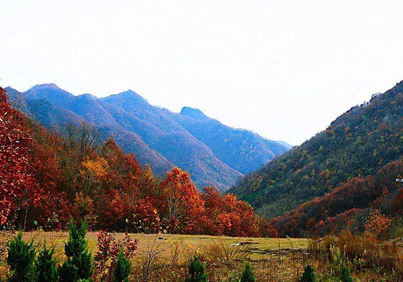 在汉滨区茨沟镇举行10月31日至11月1日暨消费扶贫活动将于秋季旅游