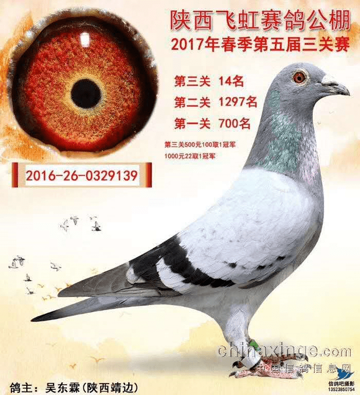 獲得17年飛虹春棚決賽14名,18年威奇公棚決賽65名