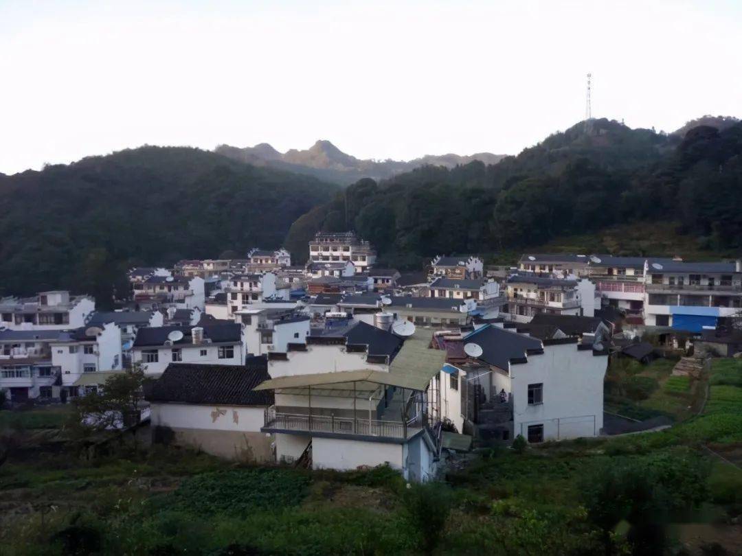 坐落在安徽省石臺縣仙寓山中的大山村,比陝西紫陽,湖北恩施的富硒村