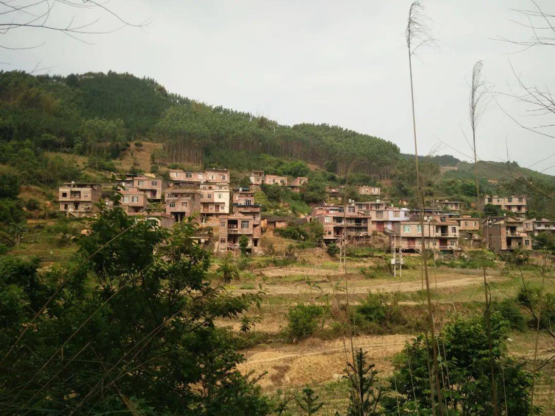 广西统一战线脱贫攻坚奋斗有我随手拍作品展照片部分十一