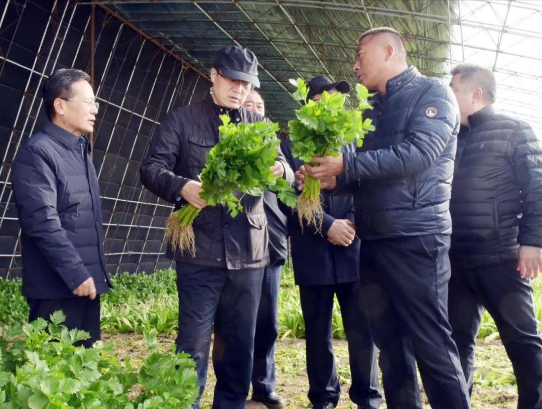 959【时政】市长于洪涛在深入鸡冠区滴道区鸡东县调研农业农村工作时