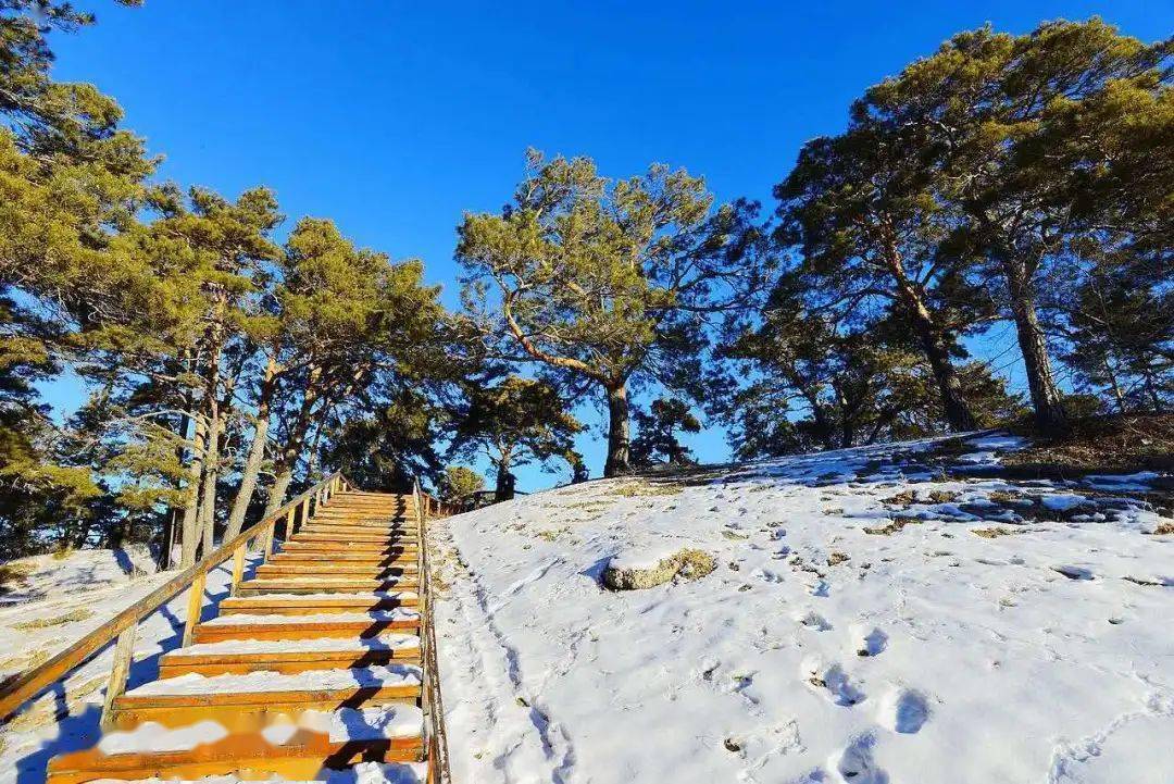 飘雪的海拉尔(来源:海拉尔文体旅游局 飘雪的海拉尔 作词 何天峰