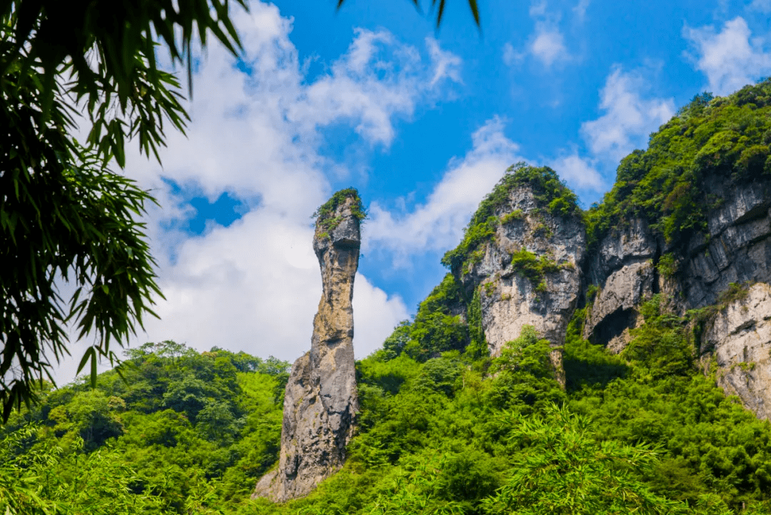 金佛山南坡图片