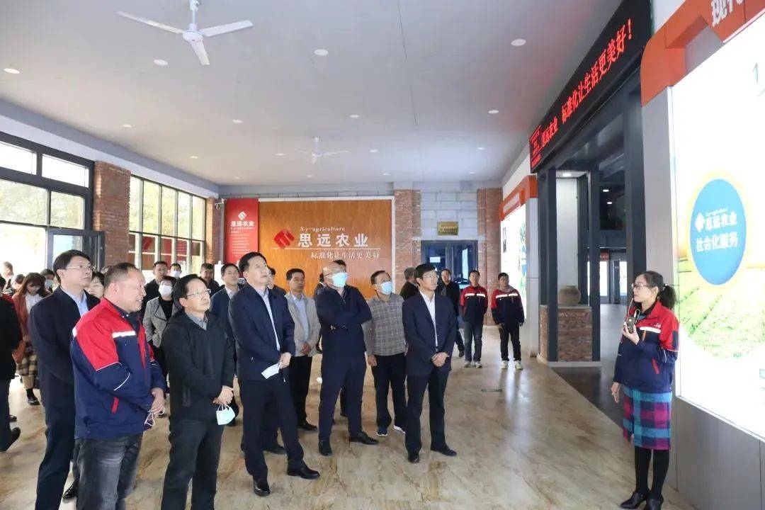 
全省尺度化事情推进暨农业尺度化服务现场交流会到我镇观摩-hth官网入口(图5)