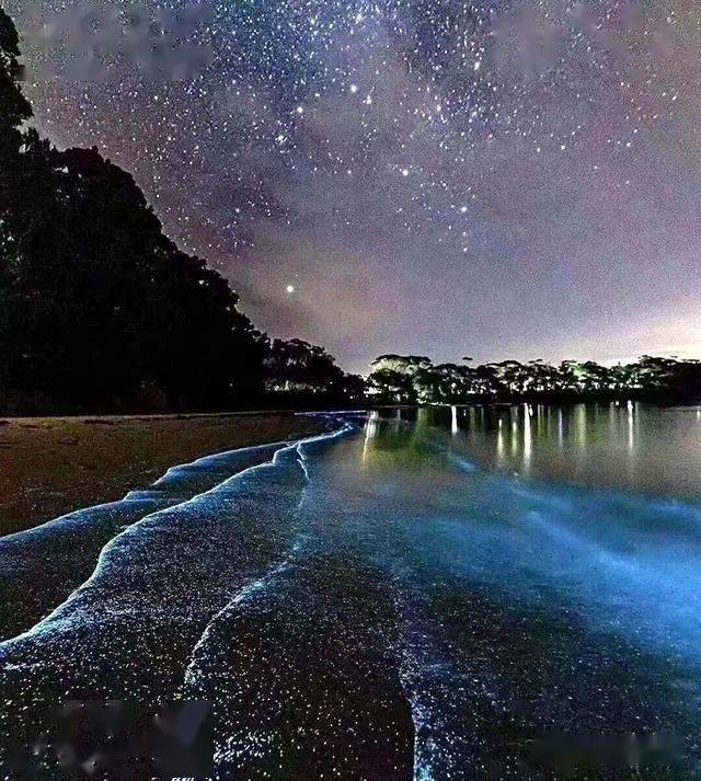 荧光海全世界只有7处如今葫芦岛有幸也能观赏这第8处奇观