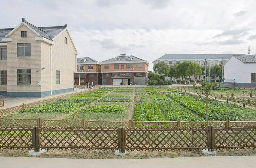 美在生态富在产业根在文化新寺村的美丽蜕变在这里