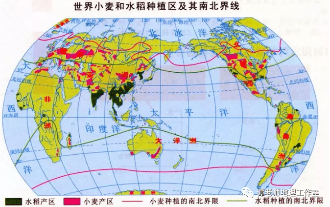 世界水稻种植区图片