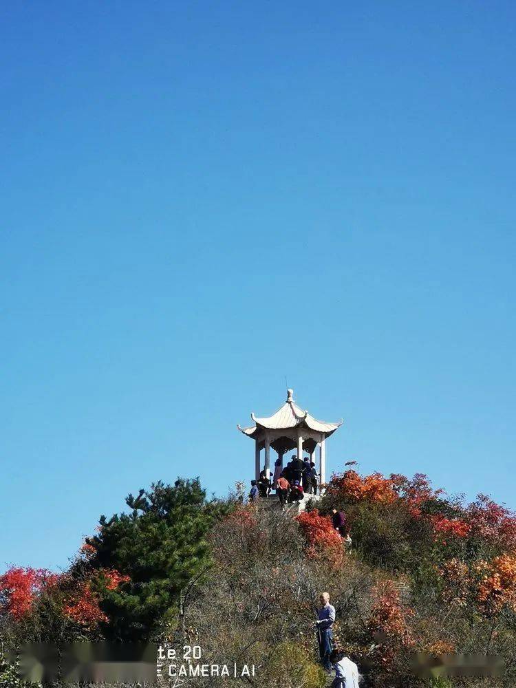 澠池十萬畝紅葉正當時迷醉了這個秋天