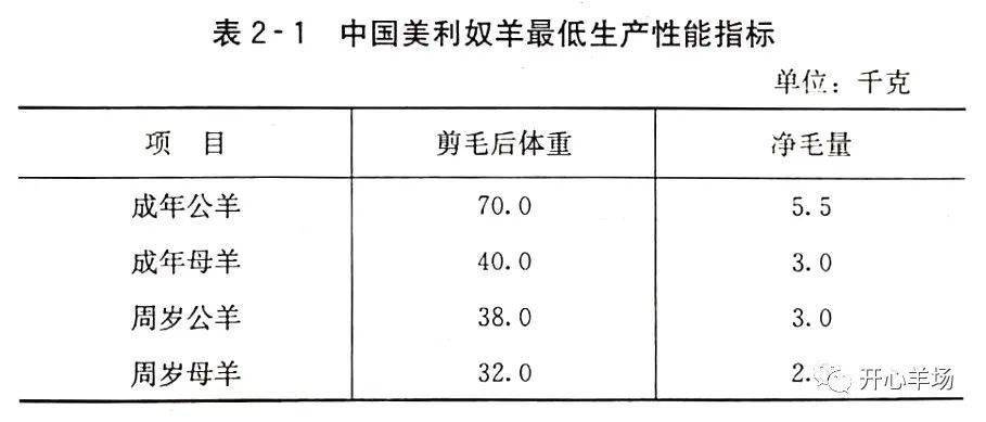 中国美利奴羊缺点图片