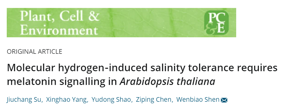 南京农业大学沈文飚课题组揭示内源氢气增强植物耐盐性的新机制