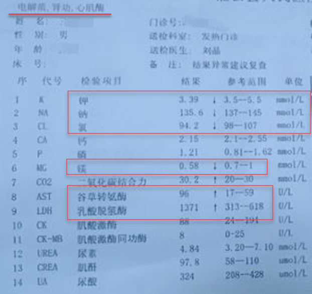 血钾,钠,氯,镁低于正常值,谷草转氨酶,乳酸脱氢酶高于正常值.