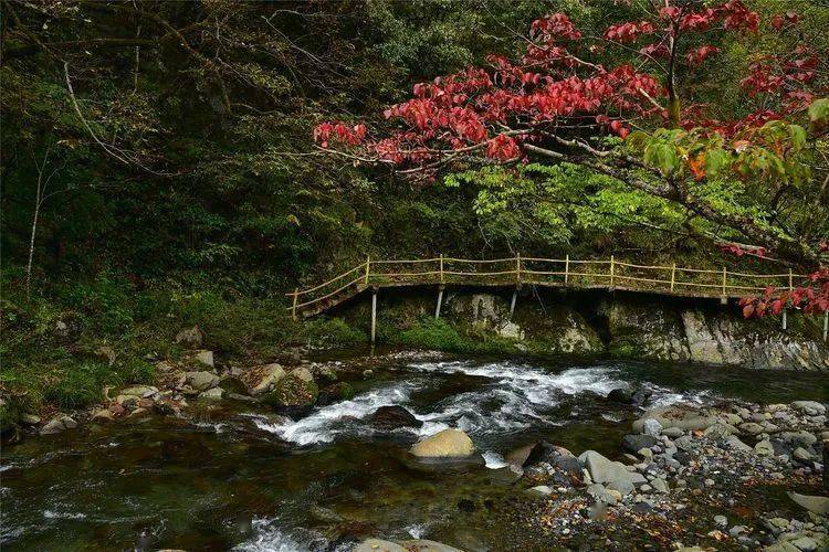 飛渡峽·黃安壩國家aaaa級景區地處大巴山南麓,鑲嵌在陝西省鎮坪縣和