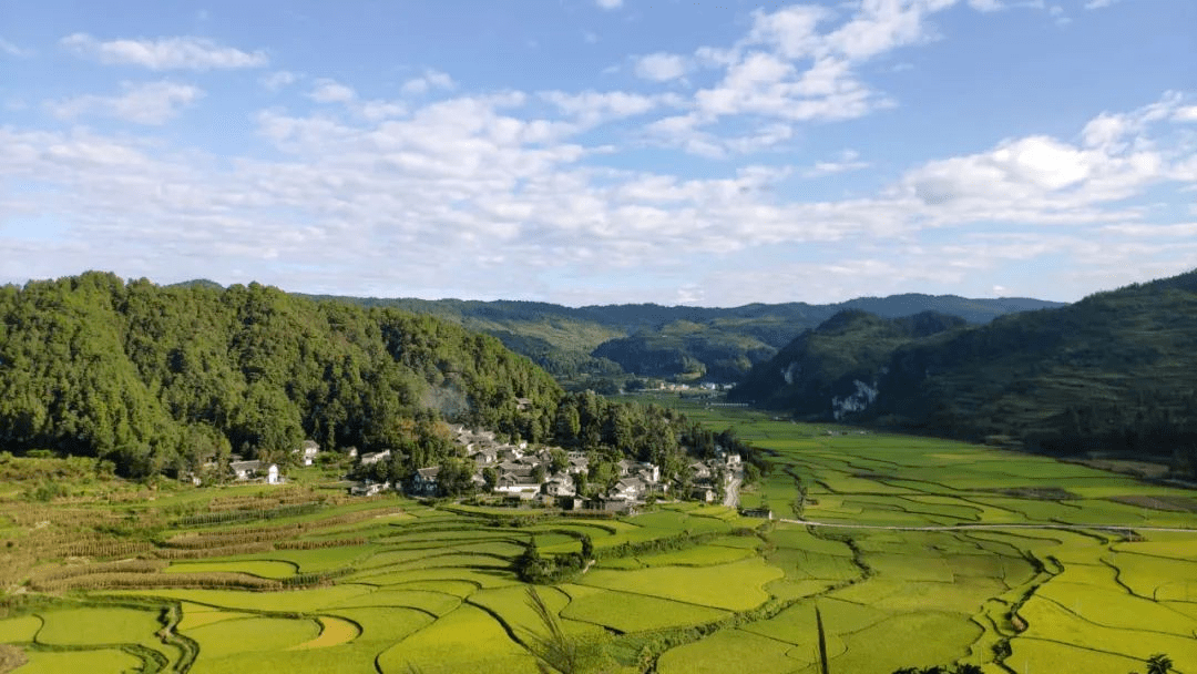 在2018年8月,当瓮安县委巡察组进驻该村开展扶贫领域专项巡察时青池村