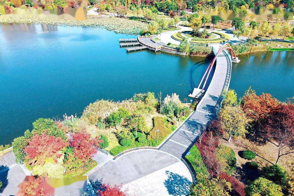 江苏如皋城市氧吧染秋色生态河道入画来