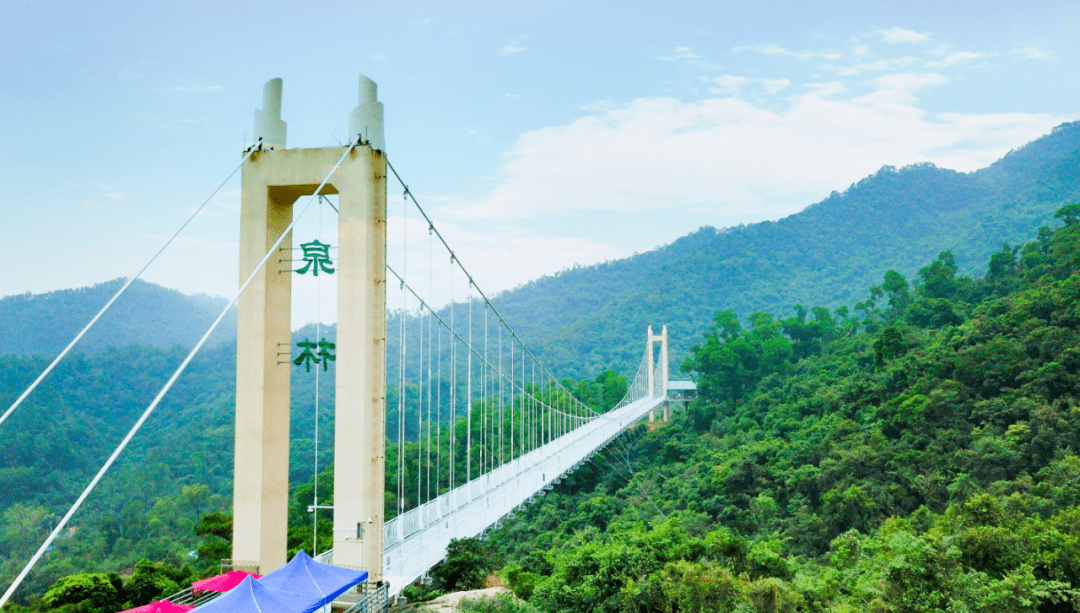 5折中山泉林欢乐世界1大1小仅59元打卡网红玻璃桥