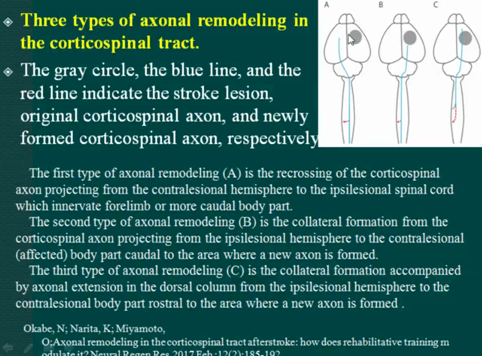 康复医学科举行2020年第9期读书会和英语学习会