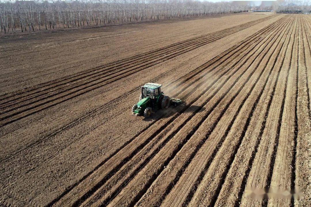 针对今年秋整地的严峻形势,在集团党委的统一调度下