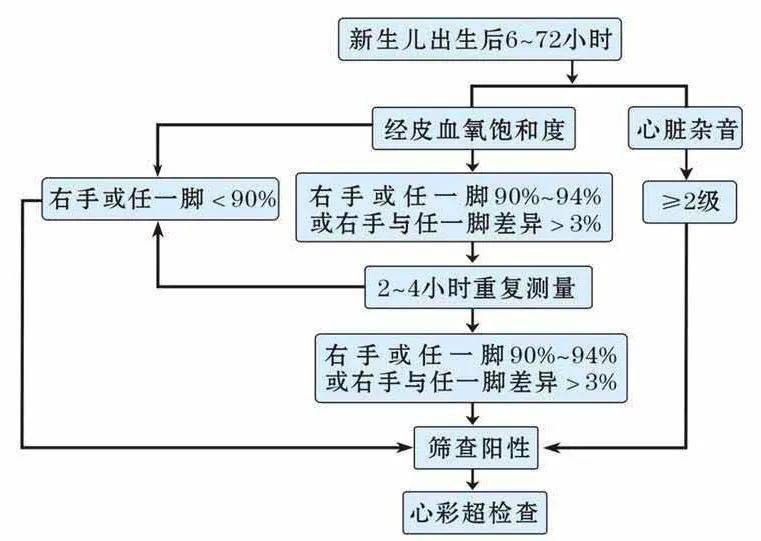 新手爸妈新生儿先天性心脏病筛查