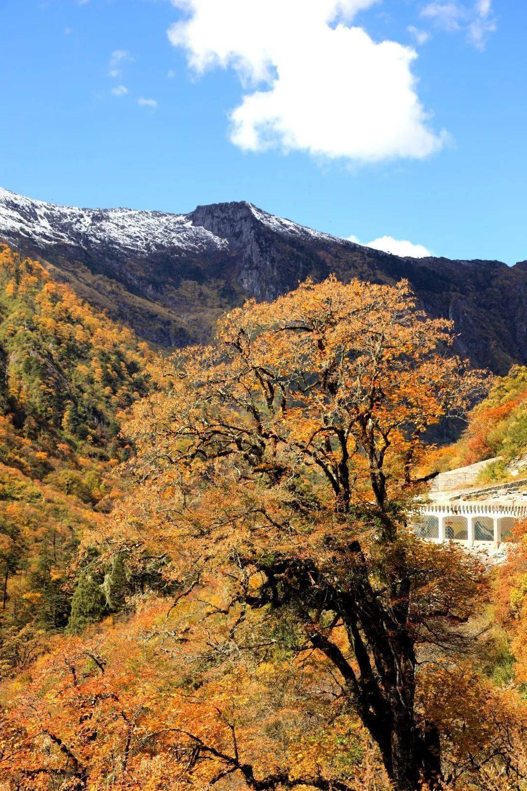 怒江旅游最佳季节图片