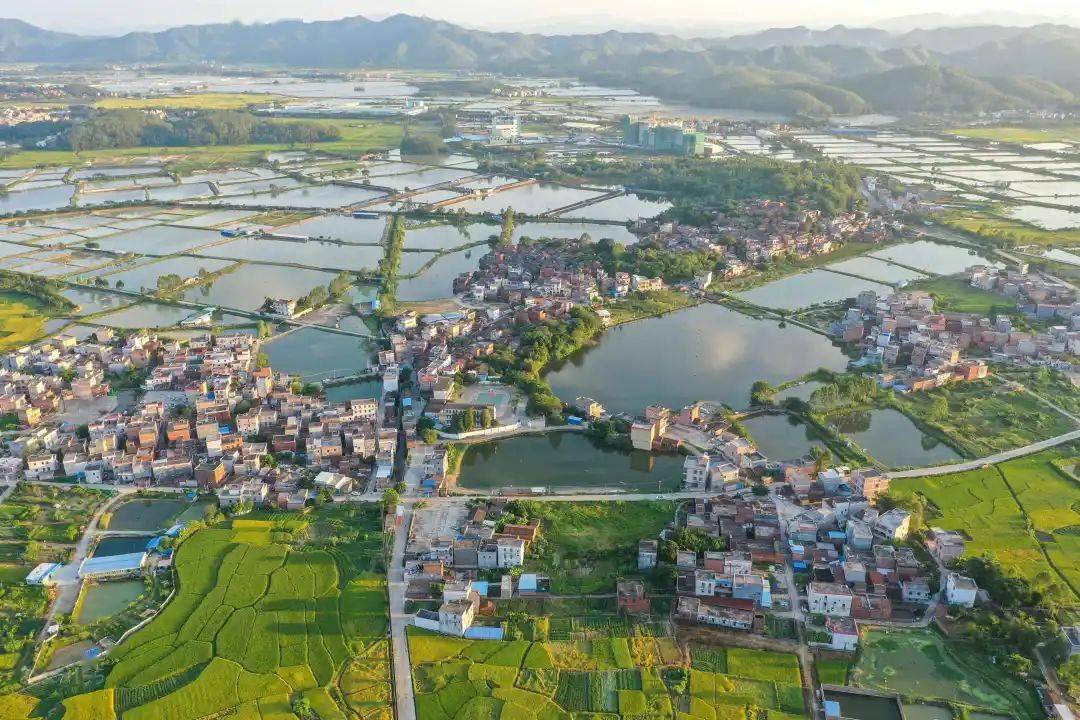 肇庆的秋之美,让人意想不到_怀集县