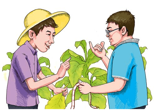 这类人才也可申报职称啦增设正高级职称有突出贡献可破格申报