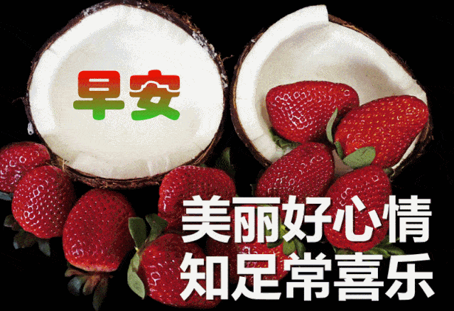 早上好问候美图早安问候语句