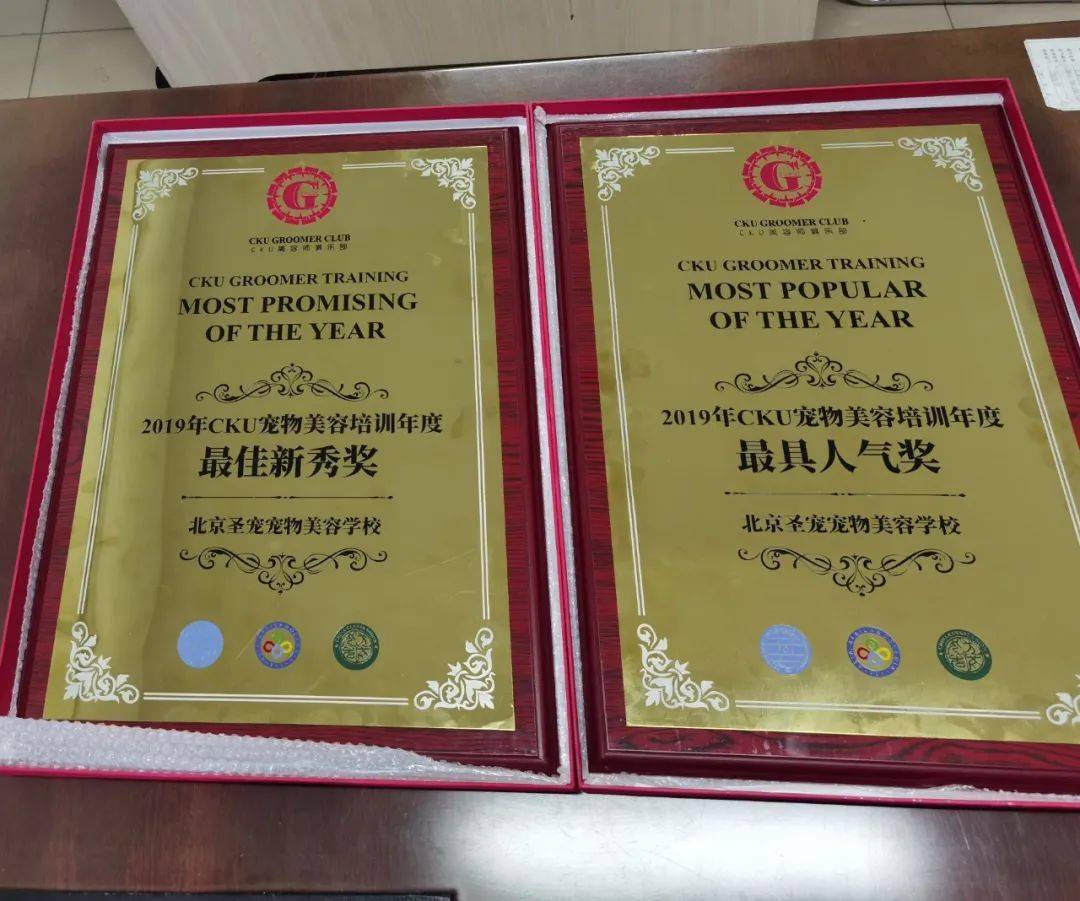 年度最佳新秀奖,最具人气奖!