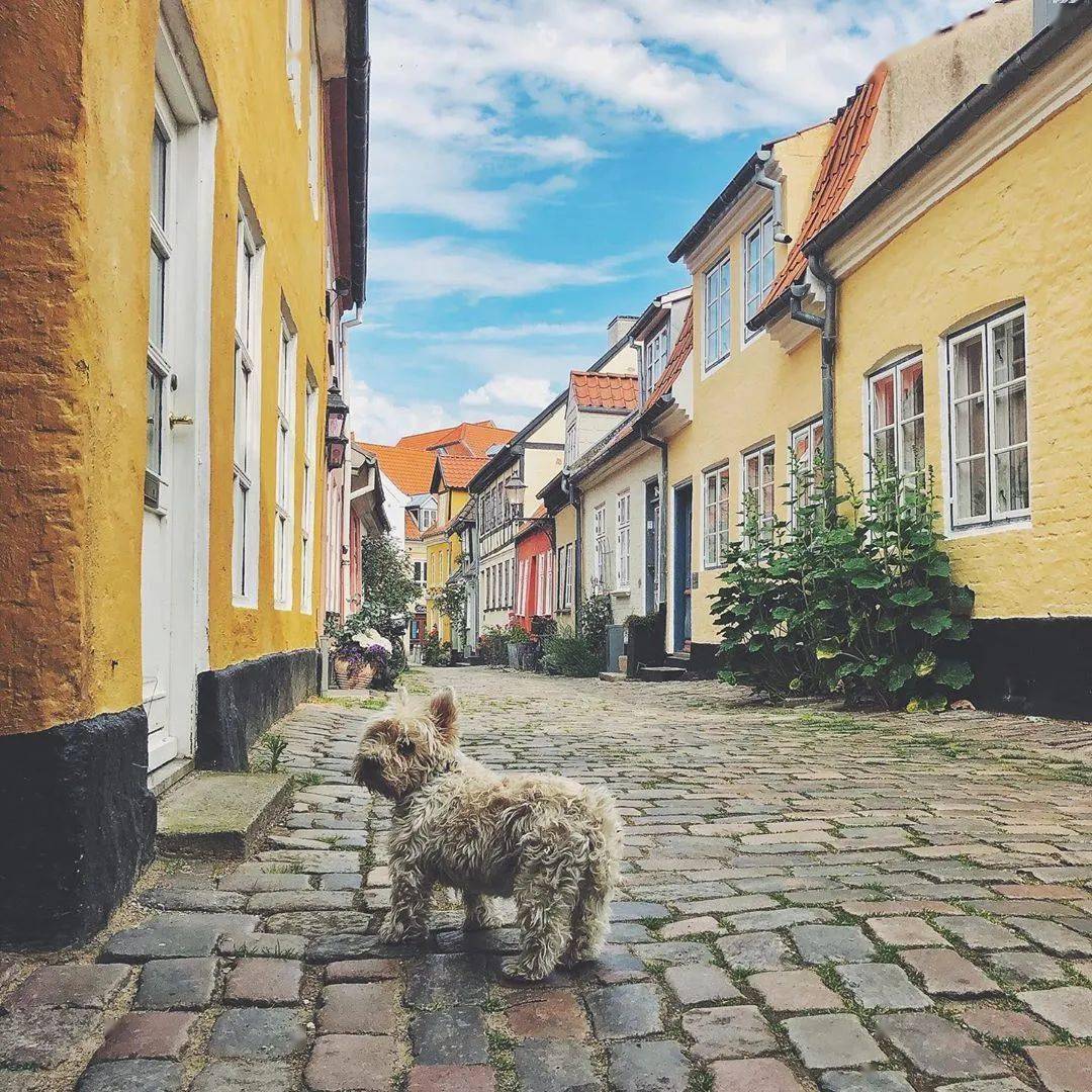 丹麦奥尔堡,获评世界最佳城市