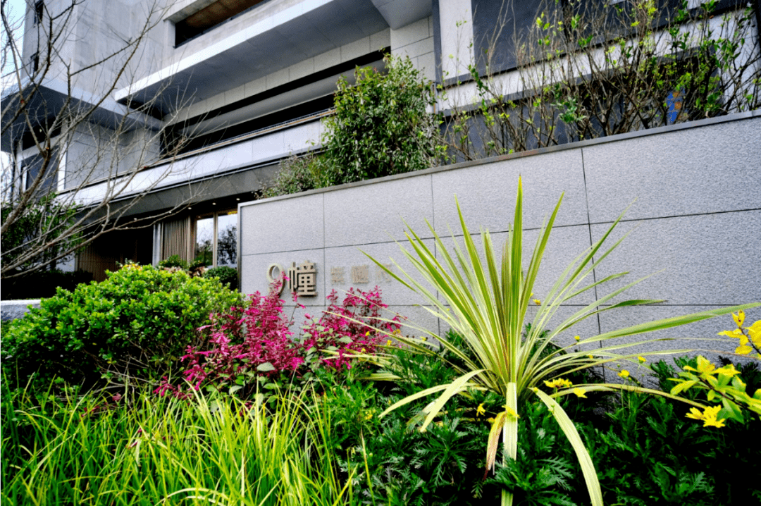 紫樾府实景示范区堪比改善盘,总价219万起!_手机搜狐网