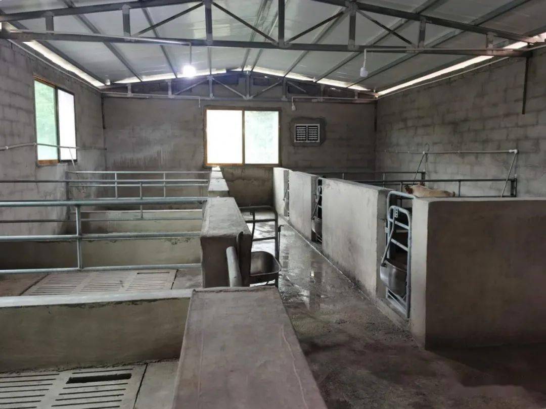 猪舍,产殖舍,保育舍于今年4月份动工建设占地面积8000余平方米项目