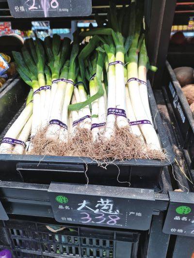 葱忙涨价一个多月02有批发商日销量下降六成多