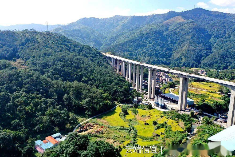 信宜平塘:云茂高速飞架山间 秋色尽染美不胜收