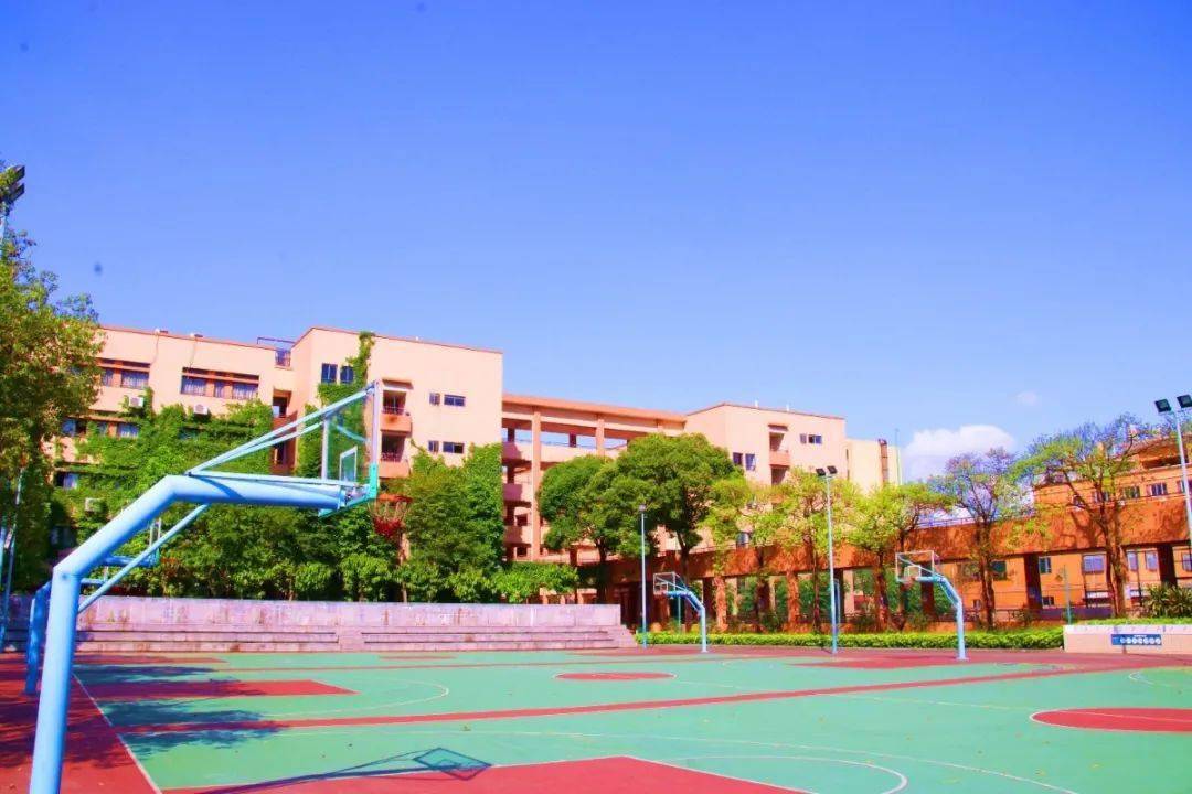 中山市丽景小学图片