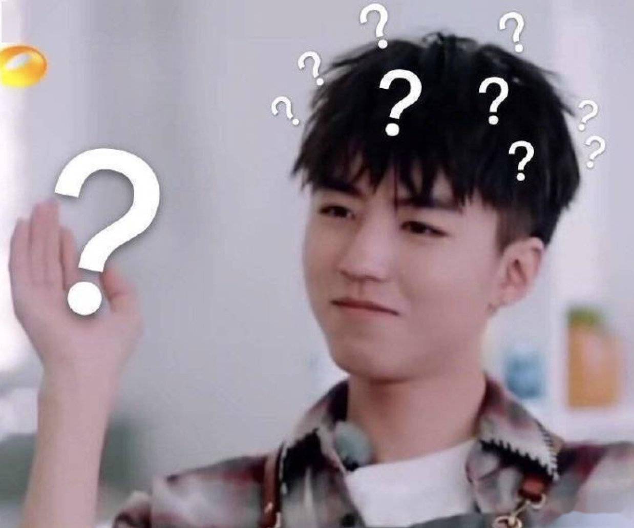 王俊凯人形问号表情包合集满脸问号真可爱