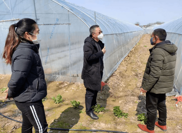 【最美扶贫干部】市统计局二级主任科员 南陵县弋江镇凤洲村党总支第