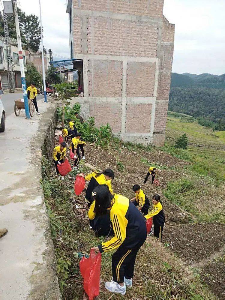 南捞乡助推7个专项行动走向深入村里