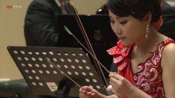 王玉珏 扬琴演奏《狂想曲》