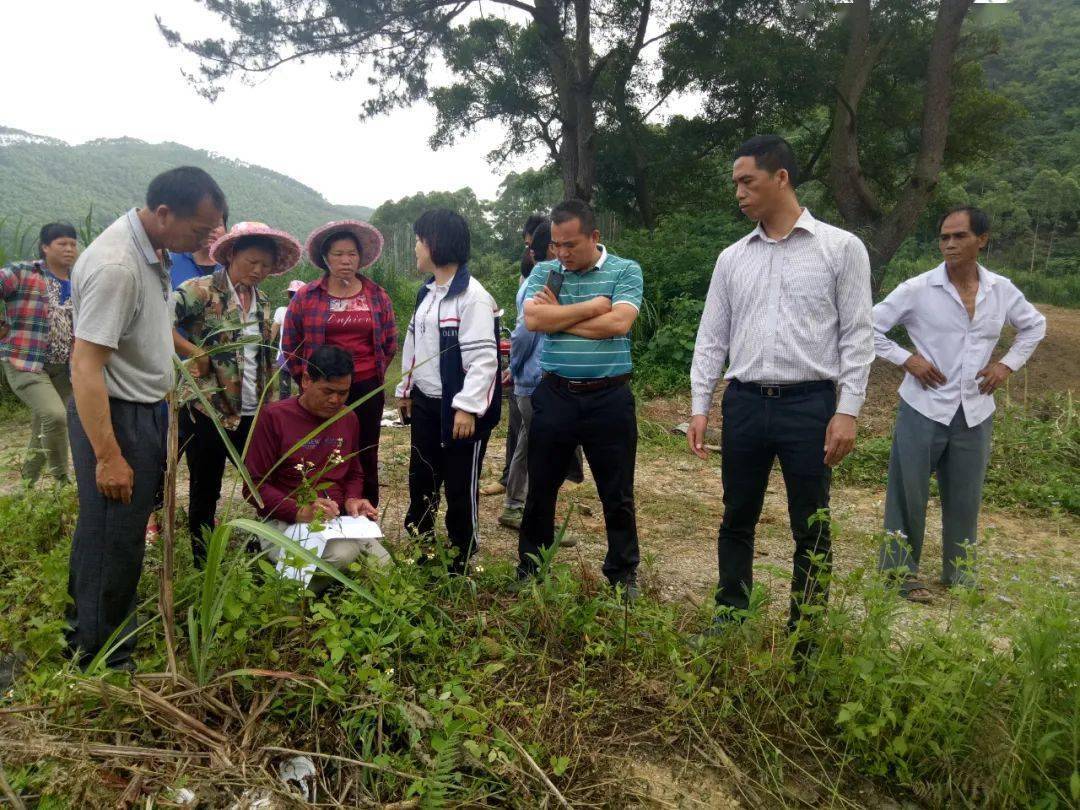 合山网站建设_(五合一网站建设)