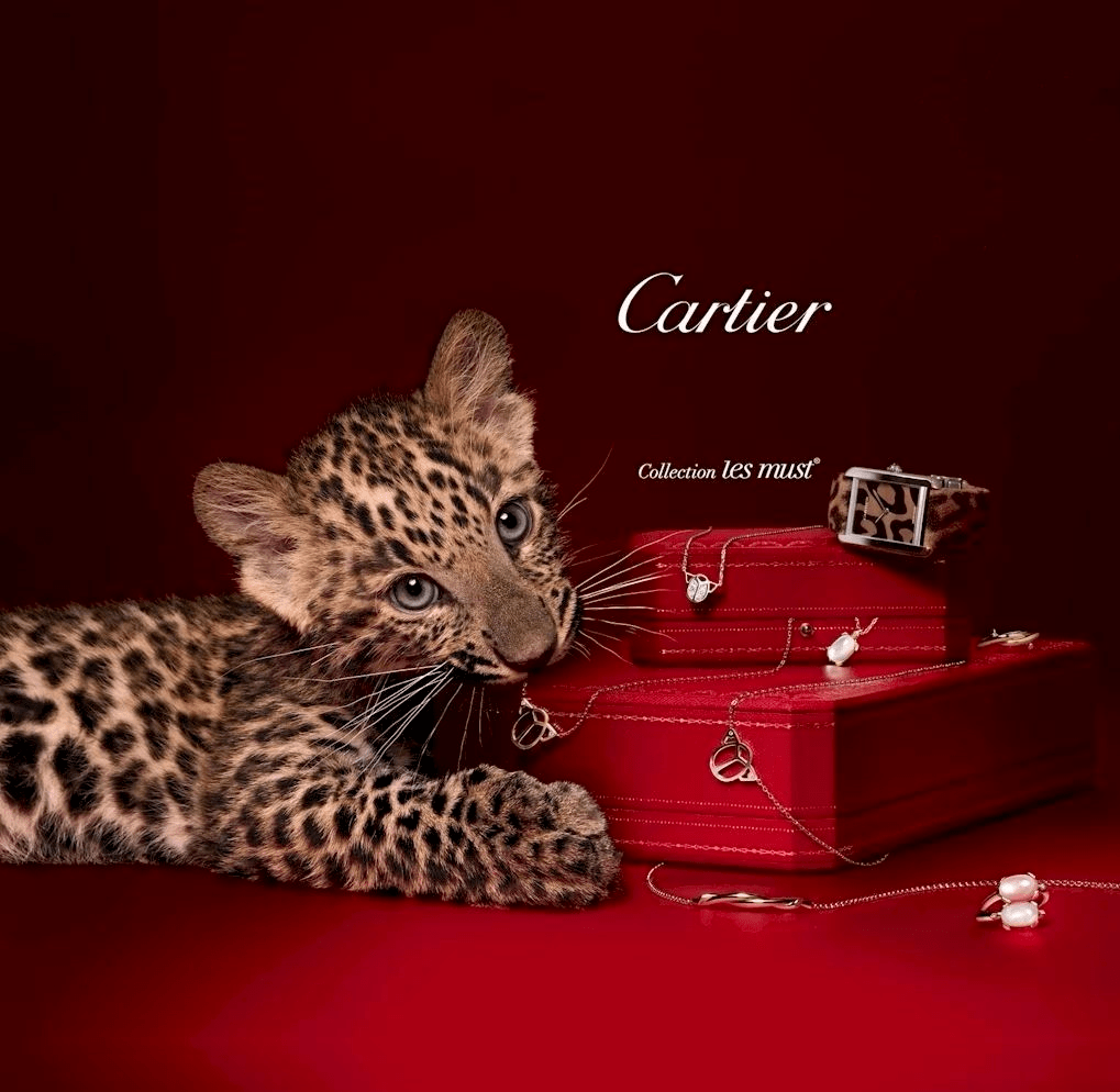 卡地亚携1.9亿顶级珠宝上淘宝直播