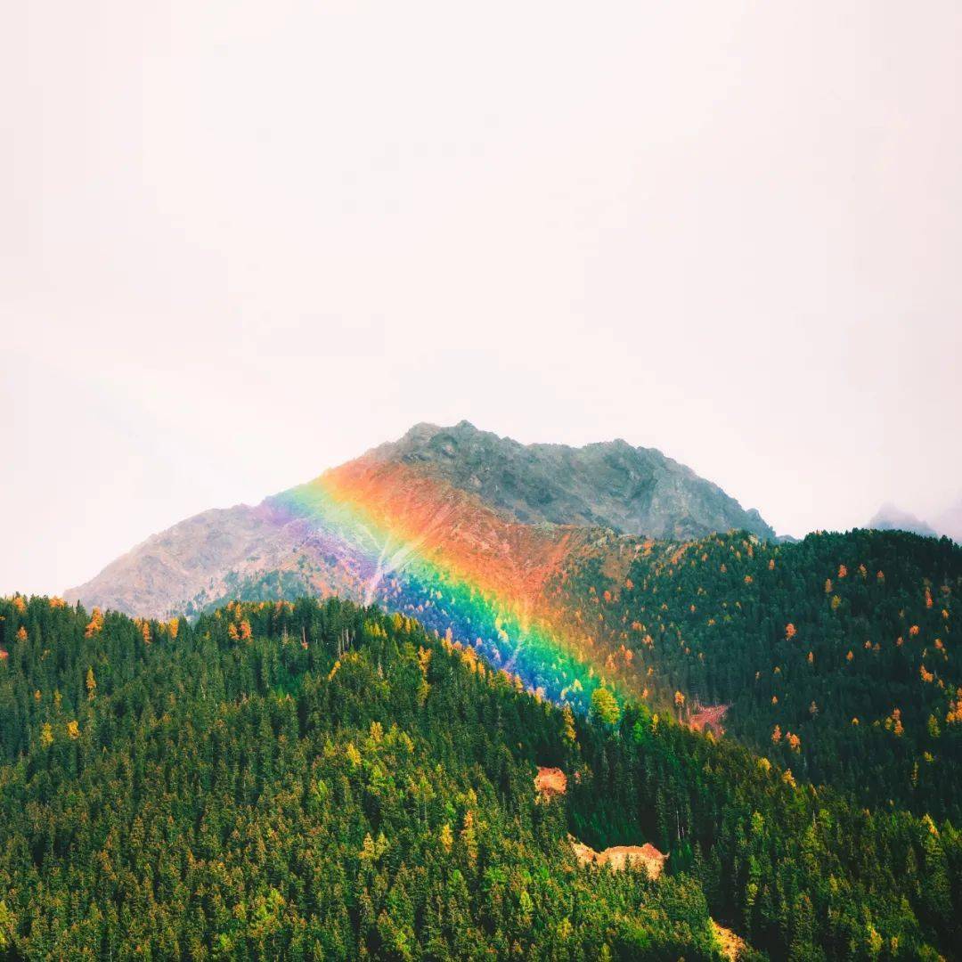 朋友圈背景图 | 唯美封面 文字配图_手机搜狐网