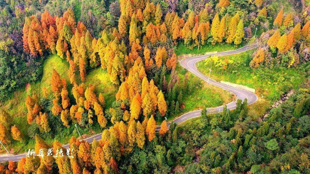 彩林正当时航拍都江堰赵公山森林康养绿道