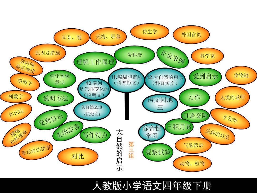 四年级下册智慧树图片