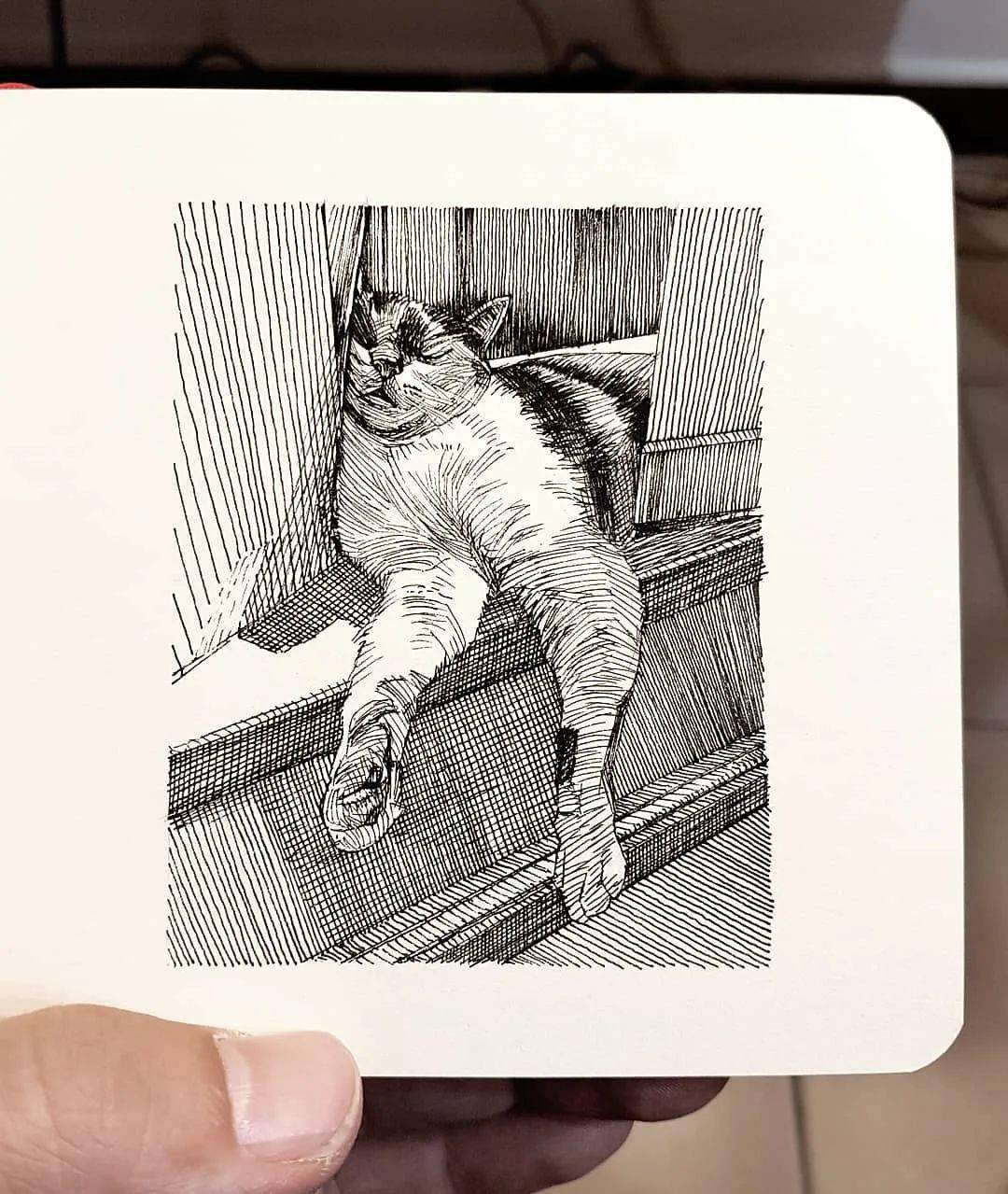 他仅用一只针管笔就能画出如此传神的猫咪不得不佩服