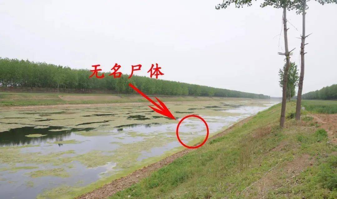 2011年5月3日上午10时许,灵璧县公安局110指挥中心接到群众报警称: 在