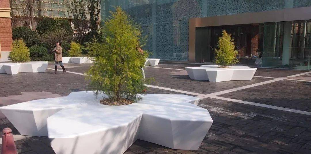 石材树池为整体景观起到重要作用