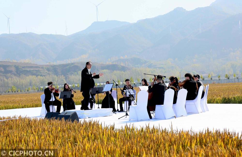 河南汝阳稻田音乐节带来视听大餐