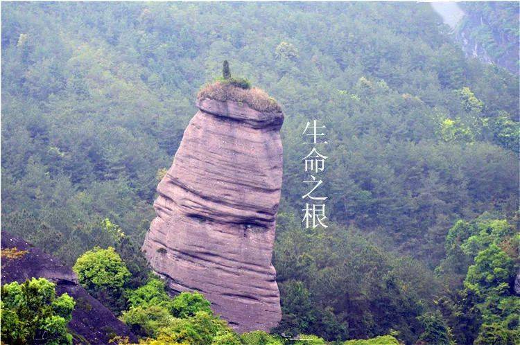 龙岩冠豸山石门湖地瓜节休闲两日游纯玩团