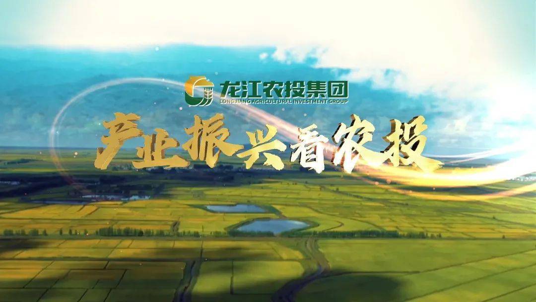 记者节快乐黑龙江公共农业频道向台前幕后的每一位超人致敬